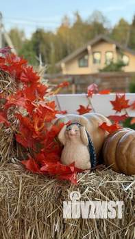 Дом 140м², 2-этажный, посуточно,