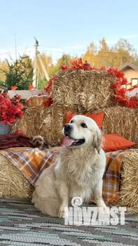 Дом 140м², 2-этажный, посуточно,