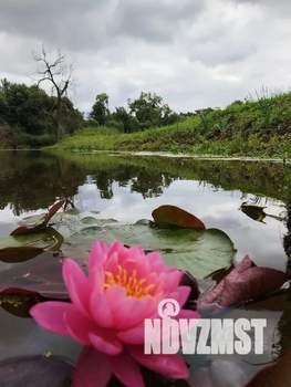 Дом 180м², 2-этажный, посуточно,