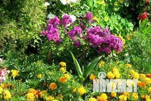 Дом 150м², 2-этажный, посуточно,