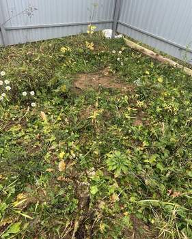 Дом 48м², 2-этажный, участок 10 сот.