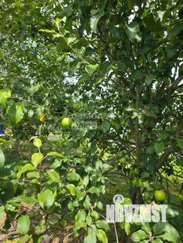 Дом 144м², 2-этажный, участок 15 сот.