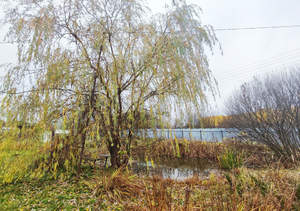 Дом 45м², 2-этажный, участок 18 сот.