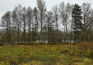 Дом 82м², 1-этажный, участок 7 сот.