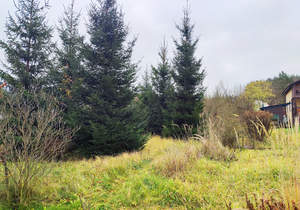 Дом 45м², 2-этажный, участок 18 сот.