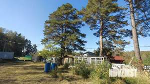 Дом 60м², 1-этажный, участок 12 сот.