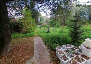 Дом 383м², 2-этажный, участок 962 сот.