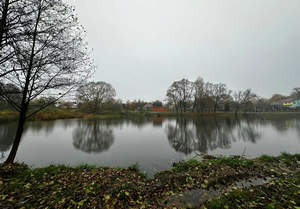 Дом 82м², 1-этажный, участок 7 сот.