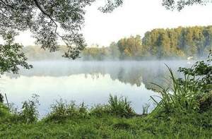 Дом 48м², 2-этажный, участок 10 сот.