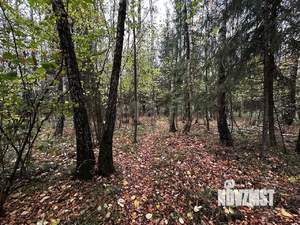 Дом 149м², 2-этажный, участок 10 сот.