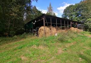 Дом 383м², 2-этажный, участок 962 сот.