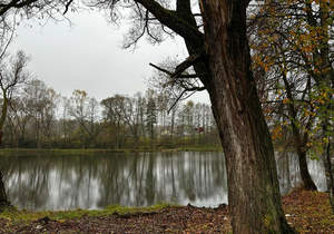 Дом 82м², 1-этажный, участок 7 сот.