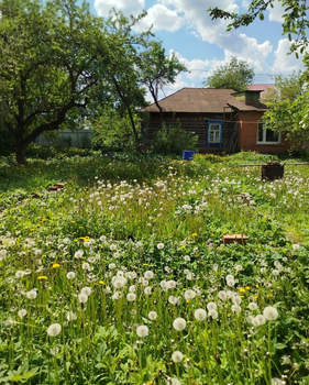 Дом 60м², 1-этажный, участок 7 сот.