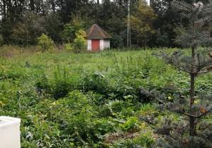 Дом 383м², 2-этажный, участок 962 сот.