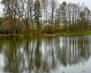 Дом 82м², 1-этажный, участок 7 сот.