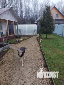 Дом 85м², 1-этажный, участок 6 сот.