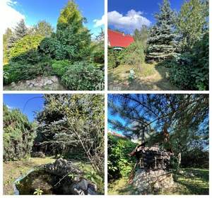 Дом 126м², 2-этажный, участок 16 сот.