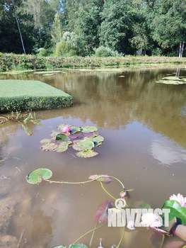 Дом 180м&sup2;, 2-этажный, посуточно, 