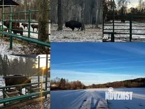 Дом 130м&sup2;, 1-этажный, посуточно, 