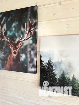 Дом 60м², 1-этажный, посуточно, 