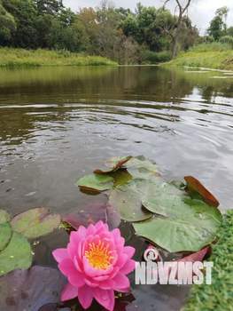 Дом 180м&sup2;, 2-этажный, посуточно, 