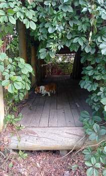 Дом 42м², 1-этажный, участок 14 сот.  