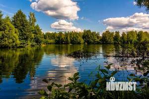 Дом 310м², 2-этажный, участок 19 сот.  