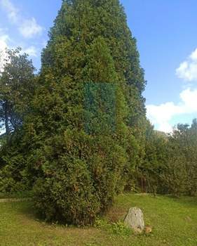 Дом 110м², 2-этажный, участок 8 сот.  