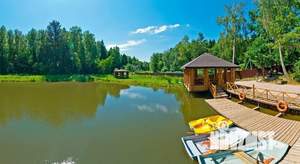 Дом 80м², 1-этажный, участок 10 сот.  