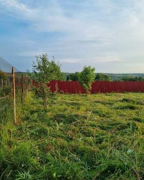 Дом 42м&sup2;, 1-этажный, участок 50 сот.  