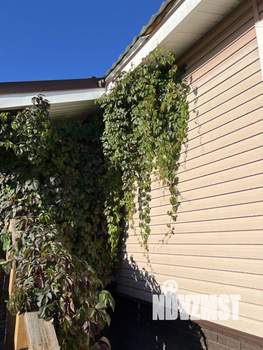 Дом 92м&sup2;, 1-этажный, участок 10 сот.  