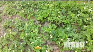 Дом 20м&sup2;, 2-этажный, участок 10 сот.  