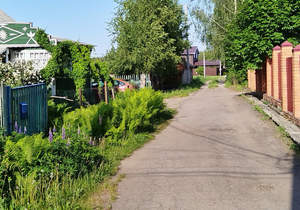 Дом 49м², 1-этажный, участок 1269 сот.  