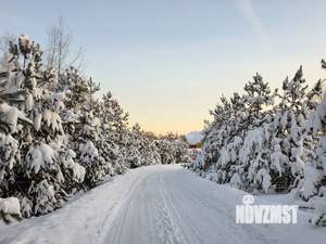 Дом 100м&sup2;, 1-этажный, участок 20 сот.  