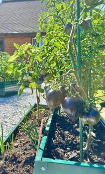 Дом 93м&sup2;, 2-этажный, участок 10 сот.  