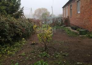 Дом 67м&sup2;, 1-этажный, участок 8 сот.  