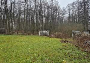 Дом 98м², 1-этажный, участок 12 сот.  