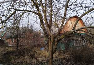 Дом 50м&sup2;, 2-этажный, участок 4 сот.  