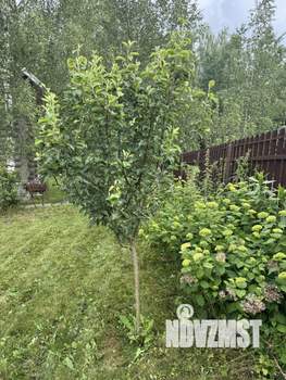 Коттедж 145м², 2-этажный, участок 10 сот.  