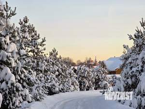 Дом 100м&sup2;, 1-этажный, участок 20 сот.  