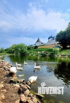 Дом 45м&sup2;, 1-этажный, участок 4 сот.  