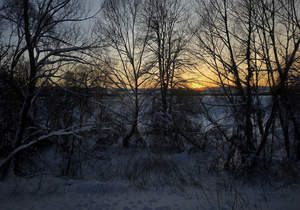 Дом 120м&sup2;, 1-этажный, участок 20 сот.  