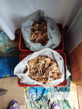 Дом 31м&sup2;, 1-этажный, участок 6 сот.  