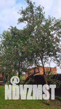 Дом 180м&sup2;, 3-этажный, участок 6 сот.  