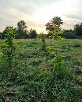 Дом 42м&sup2;, 1-этажный, участок 50 сот.  