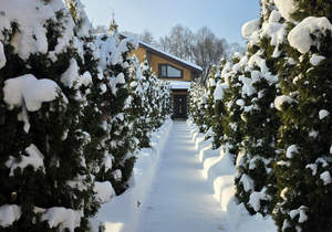 Дом 240м&sup2;, 2-этажный, участок 17 сот.  