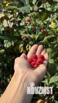 Дом 37м&sup2;, 1-этажный, участок 7 сот.  