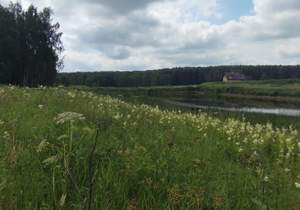 Дом 598м&sup2;, 3-этажный, участок 571 сот.  