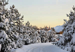 Дом 120м&sup2;, 1-этажный, участок 20 сот.  