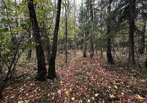 Дом 149м², 2-этажный, участок 10 сот.  